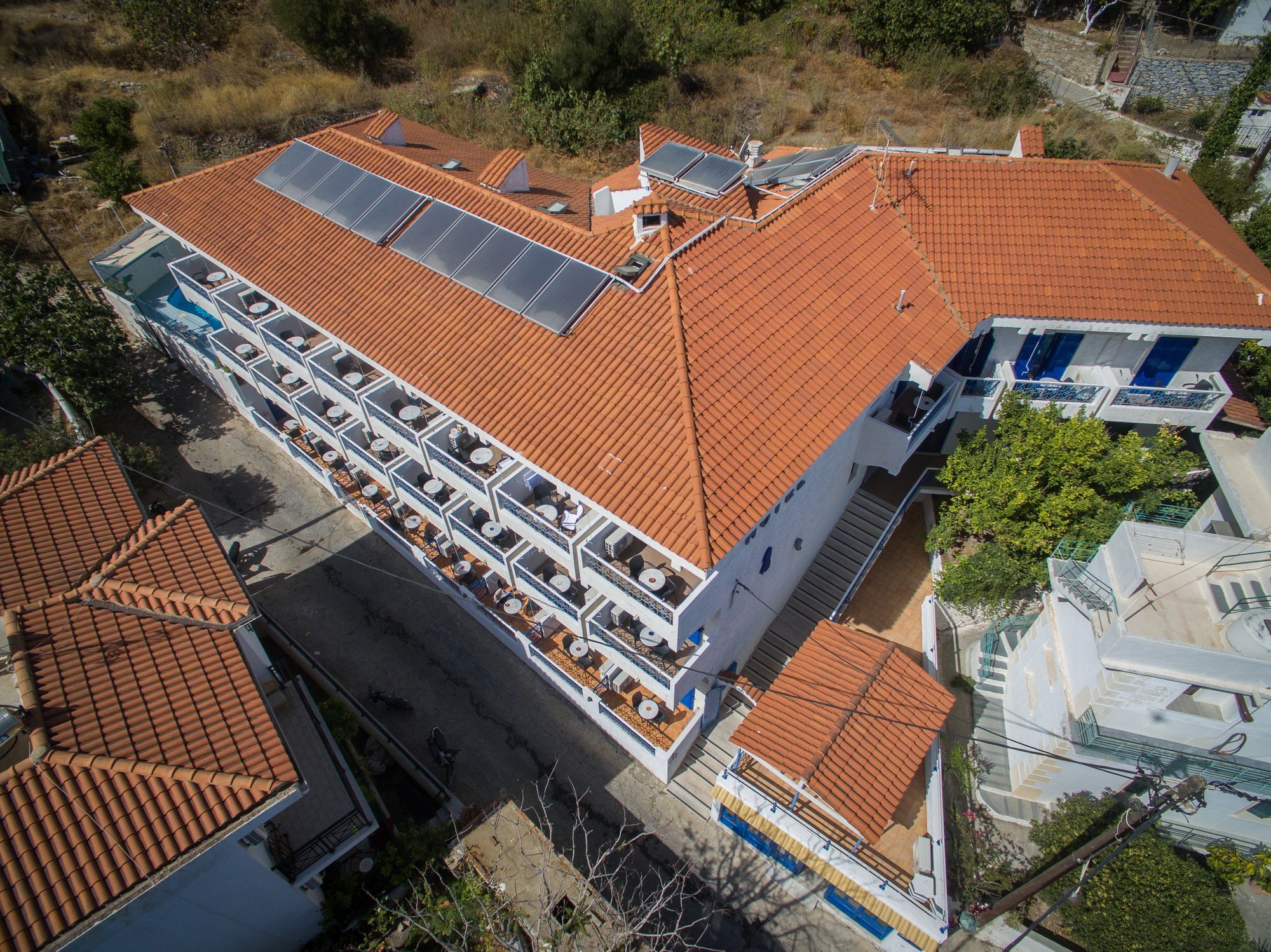 Atheras Eudilos Buitenkant foto